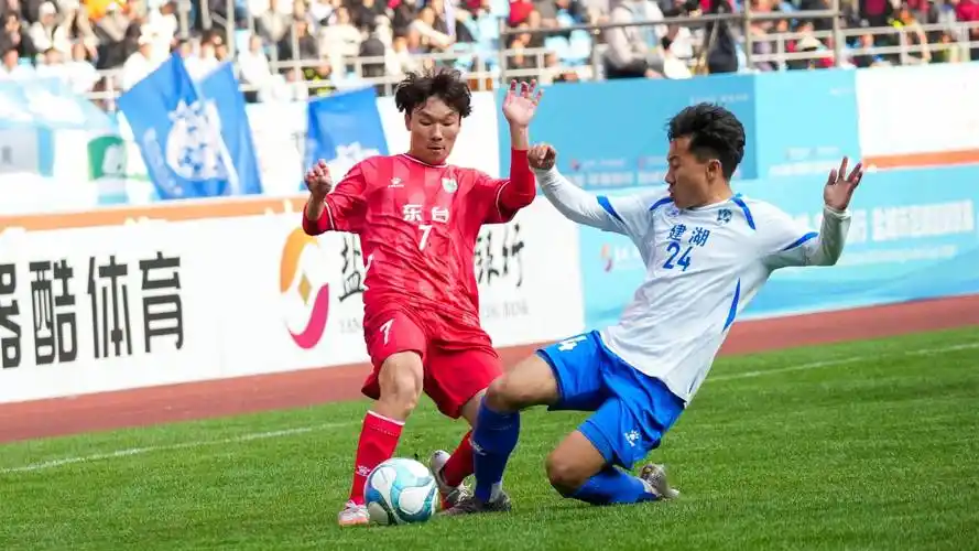 雨燕体育直播免费高清